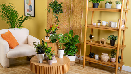 All Thumbs Are Green