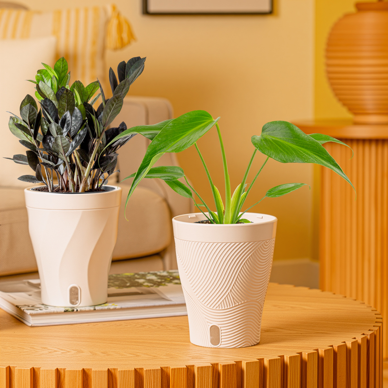 Trending Tropicals