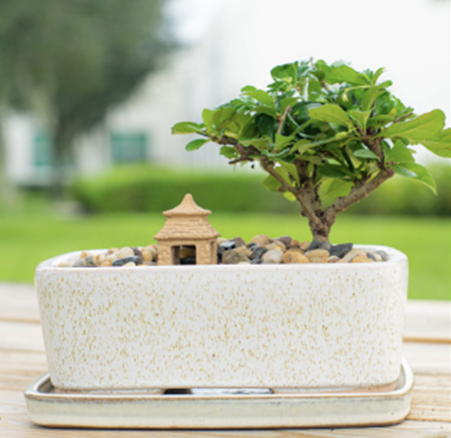 Attrezzi da lavoro miniature bonsai piante accessori fai da te Presepe –  hobbyshopbomboniere