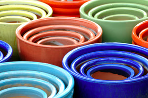 Glazed Pots: Helpful or Harmful? What Pro Gardeners Say